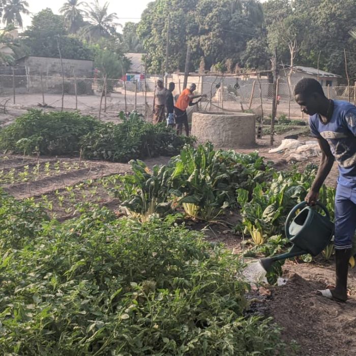 Developing Farming Cooperatives with linkages to local markets.