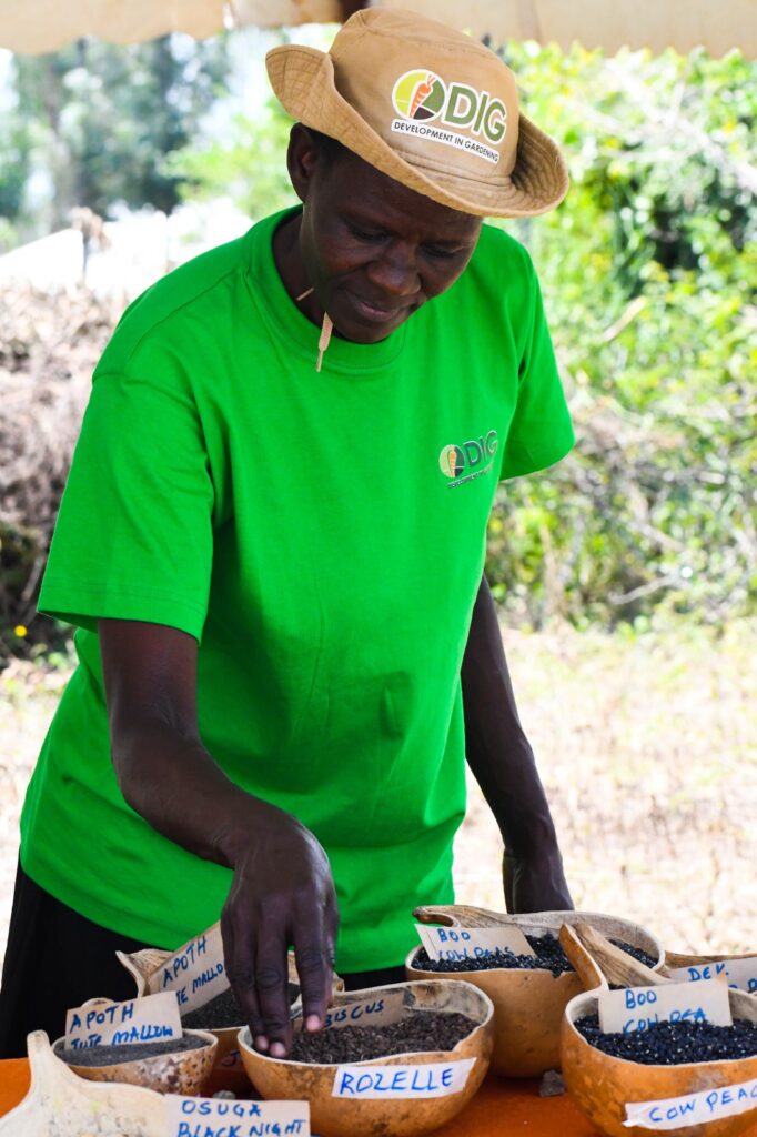 Indigenous Seeds